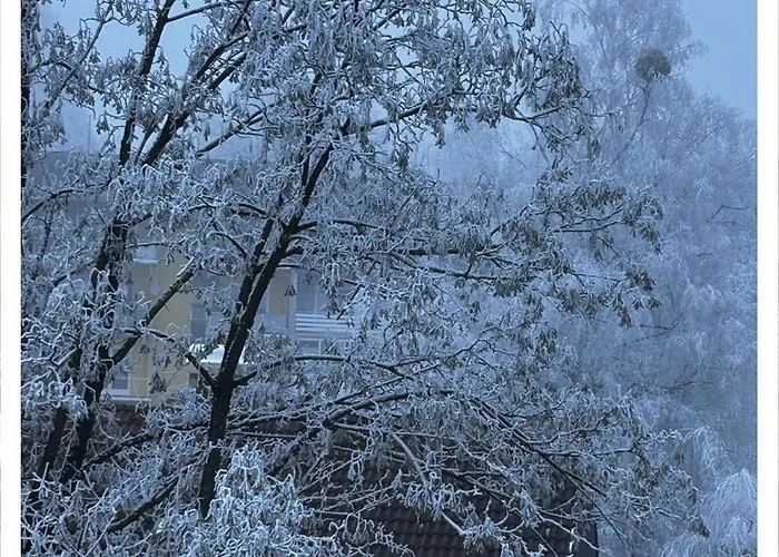 Homestay Homebase Spittal an der Drau